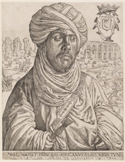 Portrait de Mulay Ahmad - Jan Cornelisz Vermeyen